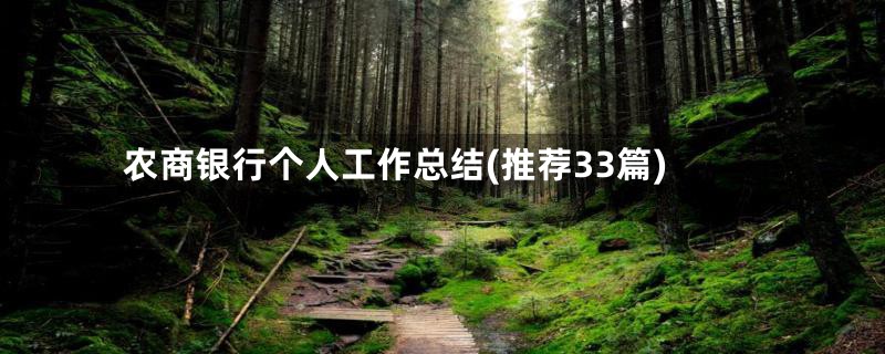 农商银行个人工作总结(推荐33篇)