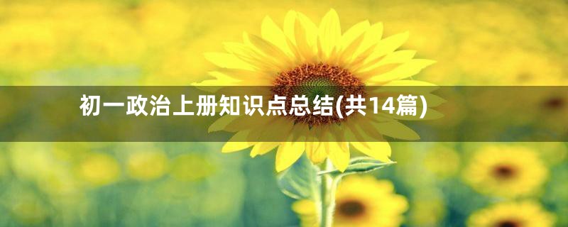 初一政治上册知识点总结(共14篇)
