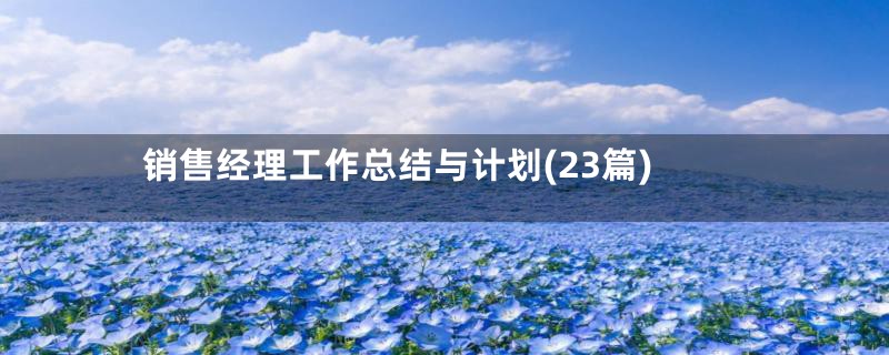 销售经理工作总结与计划(23篇)