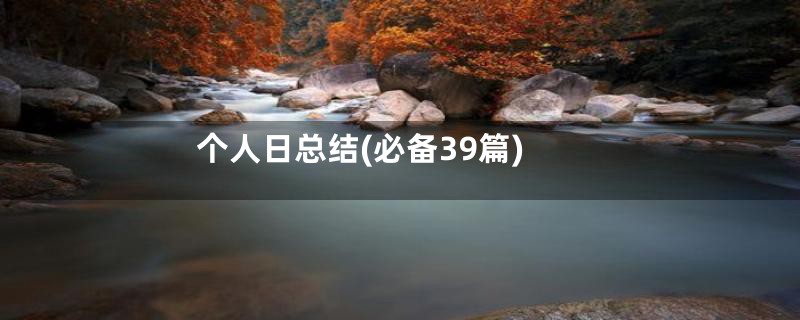 个人日总结(必备39篇)
