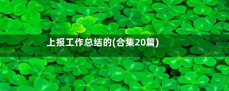 上报工作总结的(合集20篇)
