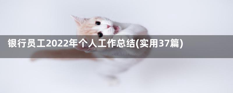 银行员工2022年个人工作总结(实用37篇)