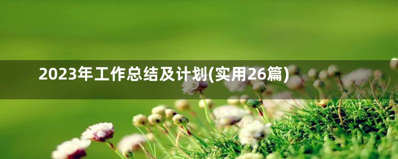 2023年工作总结及计划(实用26篇)