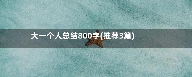 大一个人总结800字(推荐3篇)