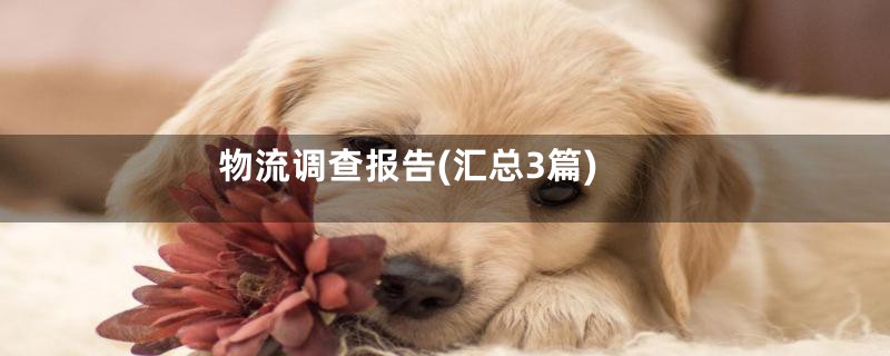 物流调查报告(汇总3篇)