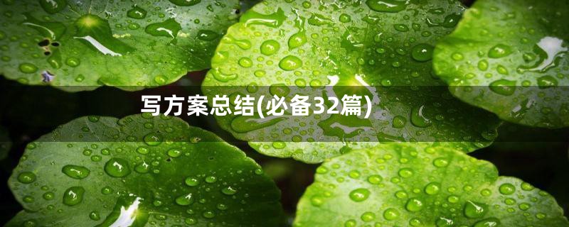 写方案总结(必备32篇)