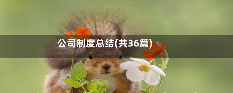 公司制度总结(共36篇)