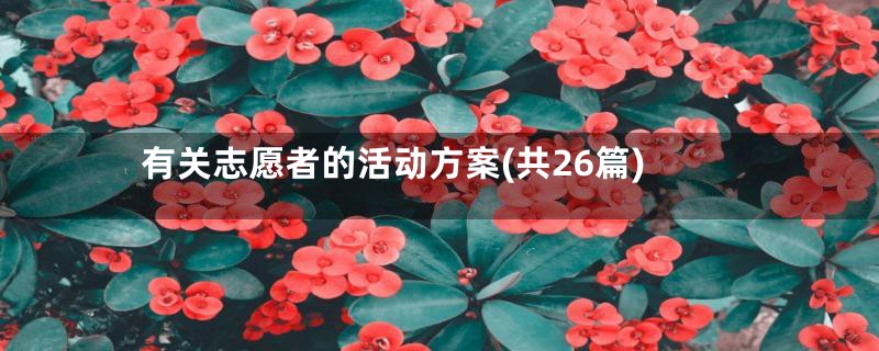 有关志愿者的活动方案(共26篇)