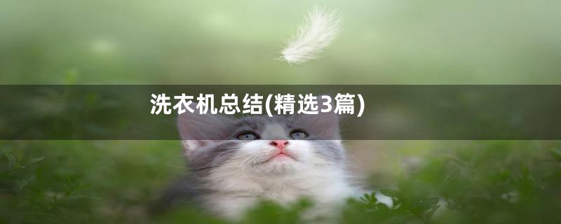 洗衣机总结(精选3篇)