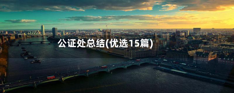 公证处总结(优选15篇)