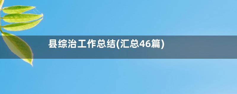 县综治工作总结(汇总46篇)