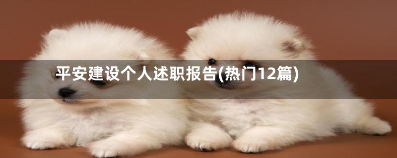 平安建设个人述职报告(热门12篇)
