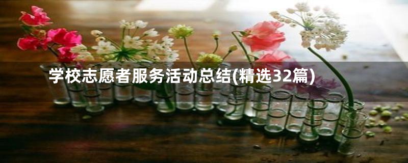 学校志愿者服务活动总结(精选32篇)