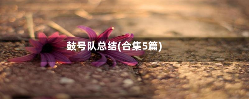 鼓号队总结(合集5篇)