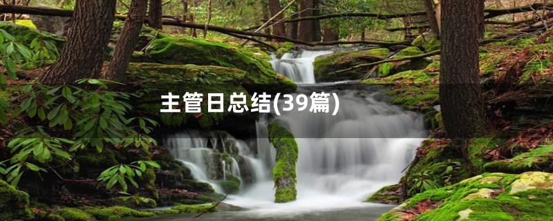 主管日总结(39篇)