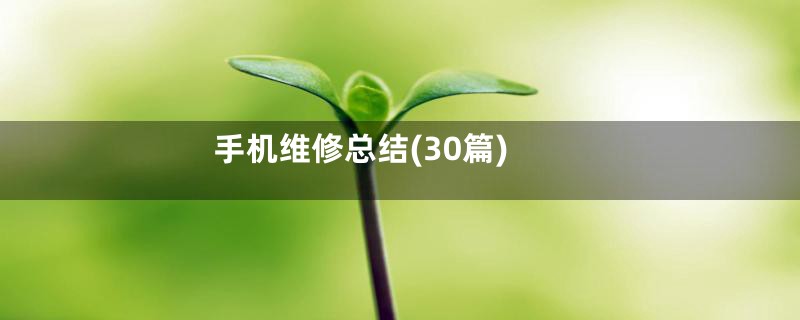 手机维修总结(30篇)