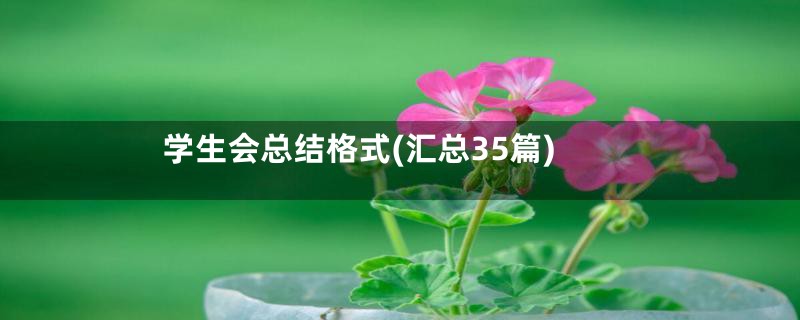 学生会总结格式(汇总35篇)