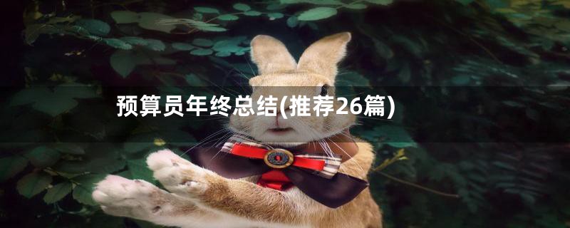预算员年终总结(推荐26篇)