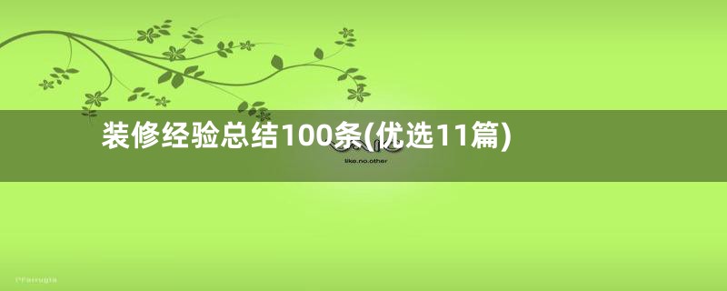 装修经验总结100条(优选11篇)