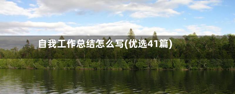 自我工作总结怎么写(优选41篇)