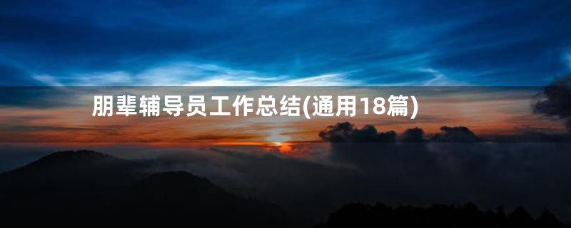 朋辈辅导员工作总结(通用18篇)