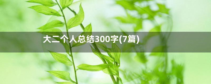 大二个人总结300字(7篇)