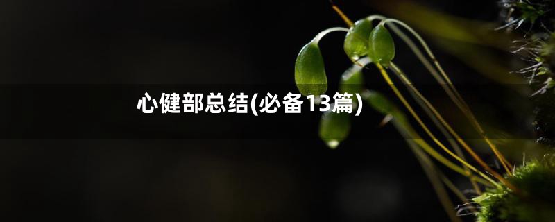心健部总结(必备13篇)