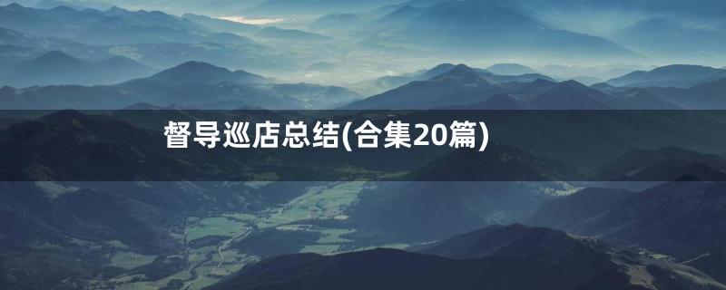 督导巡店总结(合集20篇)