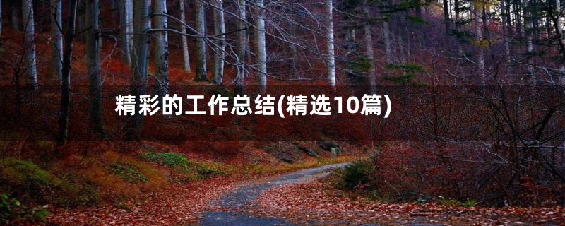 精彩的工作总结(精选10篇)