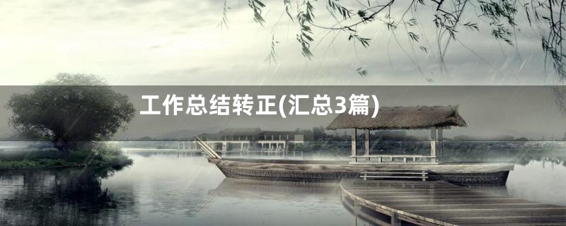 工作总结转正(汇总3篇)