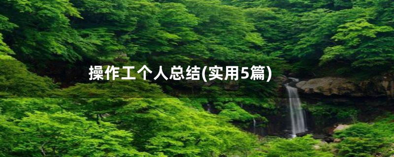操作工个人总结(实用5篇)