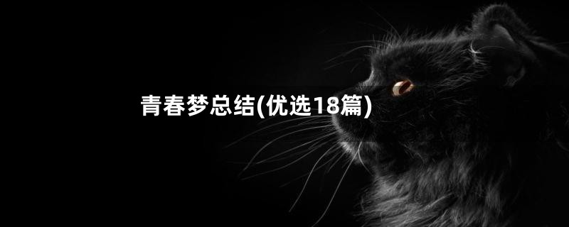 青春梦总结(优选18篇)