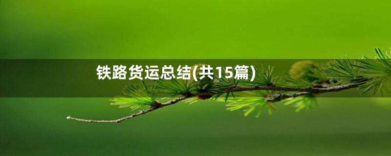 铁路货运总结(共15篇)