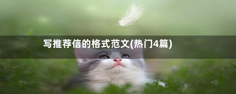 写推荐信的格式范文(热门4篇)