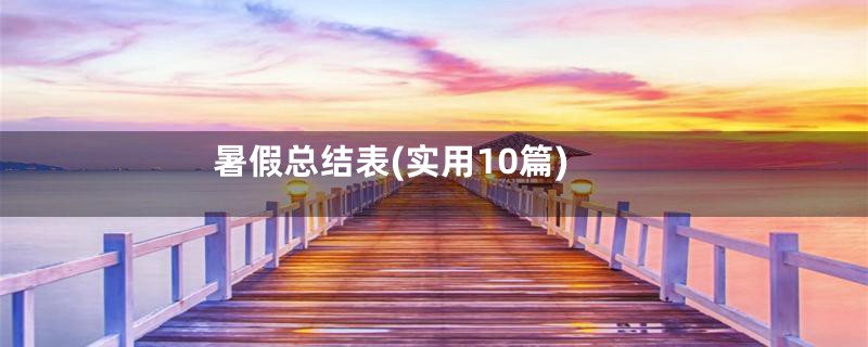 暑假总结表(实用10篇)