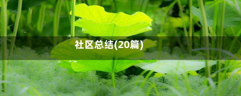 社区总结(20篇)