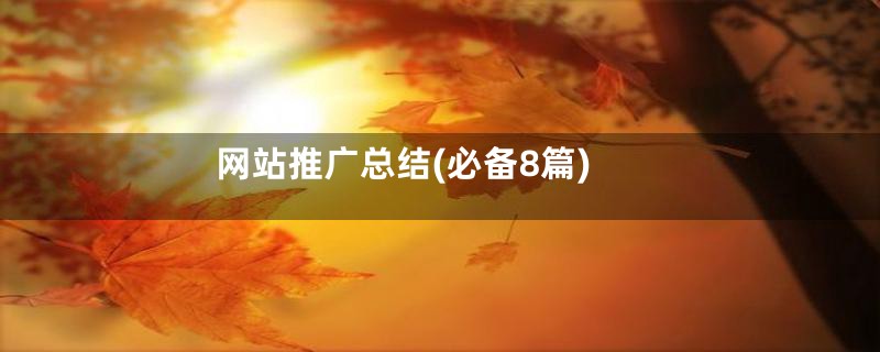 网站推广总结(必备8篇)