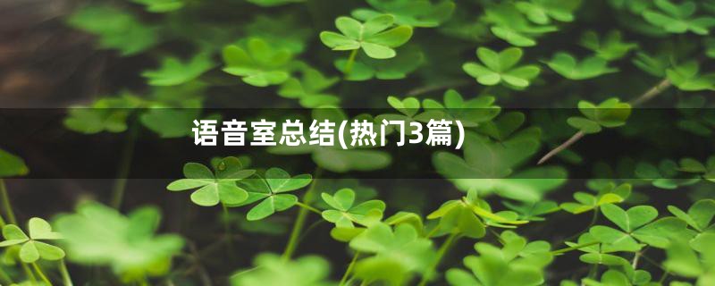 语音室总结(热门3篇)