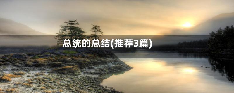 总统的总结(推荐3篇)