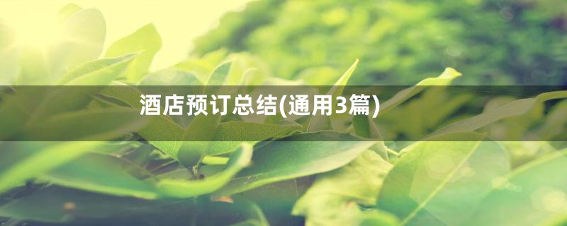 酒店预订总结(通用3篇)