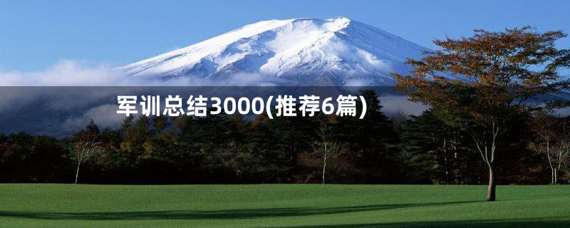 军训总结3000(推荐6篇)