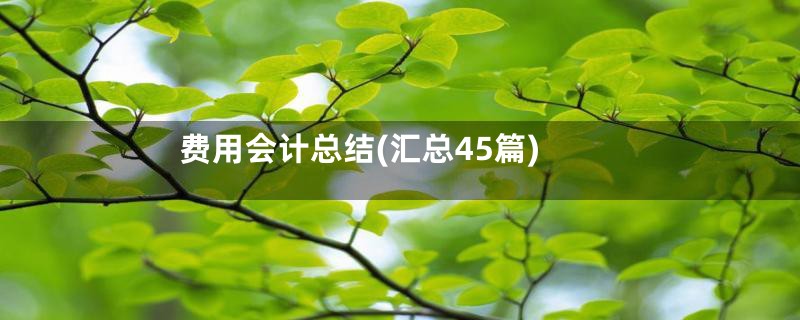 费用会计总结(汇总45篇)