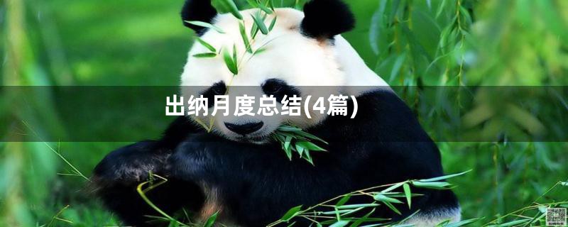 出纳月度总结(4篇)
