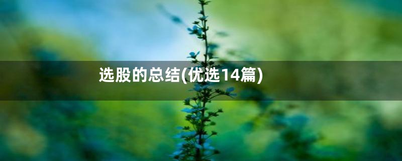 选股的总结(优选14篇)