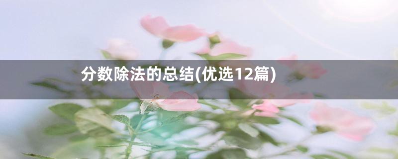 分数除法的总结(优选12篇)