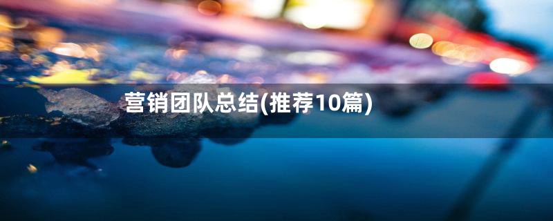 营销团队总结(推荐10篇)