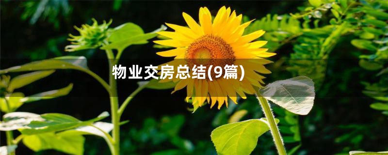物业交房总结(9篇)