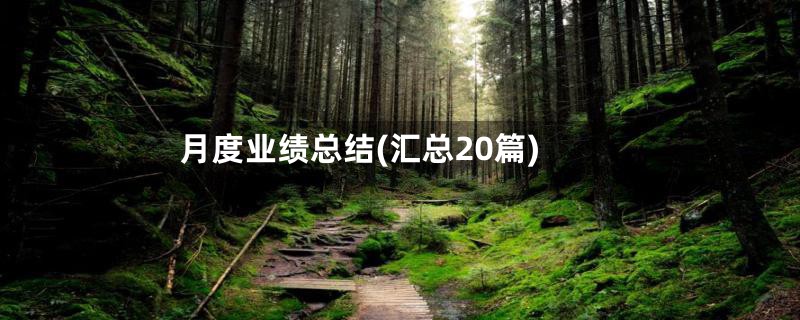 月度业绩总结(汇总20篇)