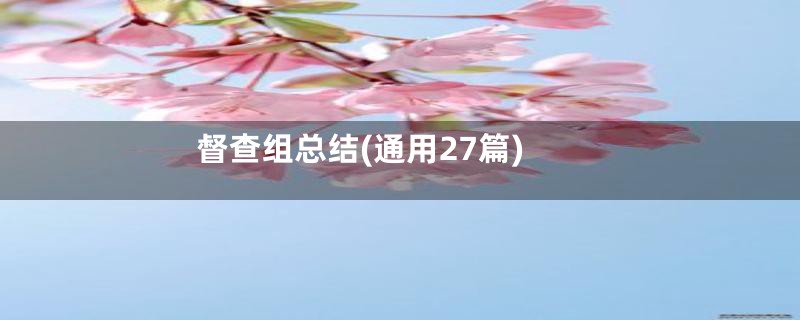 督查组总结(通用27篇)