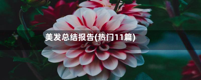 美发总结报告(热门11篇)